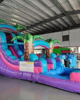 15′ Fantasy Single Lane Water Slide For Sale