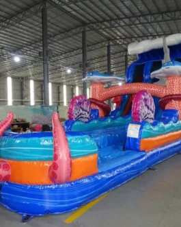 Hammerhead Reef Hybrid Water Slide