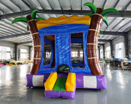 Best Rental Inflatable Experience