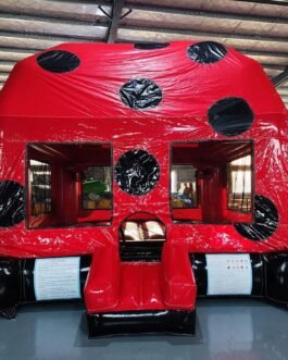 Discover the Fun: Lady Bug Bounce House for Sale