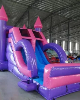 XL Princess Castle Wet-Dry Combo For Sale