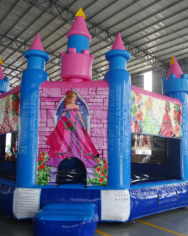 Princess Castle Bounce House For Sale