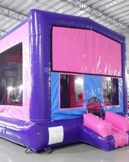 Princess Panel Bounce House For Sale