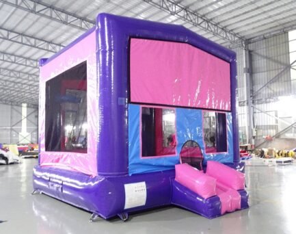 Princess Panel Bounce House For Sale