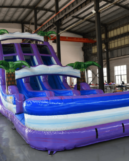 Purple Thunder Center Climb Water Slide For Sale