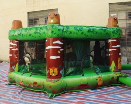 Whack A Mole Inflatable Game